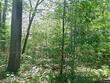 69.8 pine hill road, westport island,  ME 04578