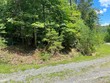 lot 32 grandview dr, forest hill,  WV 24935