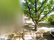 2629 campbell st, kansas city,  MO 64108