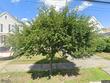 2219 guilderland ave, schenectady,  NY 12306