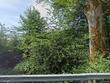 22495 state route 9, mount vernon,  WA 98274