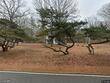 9056 hicksboro rd, oxford,  NC 27565