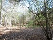 4 beaver creek-cummings creek dr, marlinton,  WV 24954