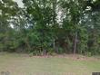 2825 camel cir, middleburg,  FL 32068