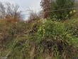 81 township road 158, chesapeake,  OH 45619