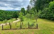  hayesville,  NC 28904