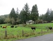 34370 allen rd, cottage grove,  OR 97424