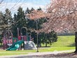 675 edmonds ave ne, renton,  WA 98056