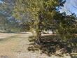  henderson,  NC 27537