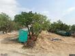  lago vista,  TX 78645