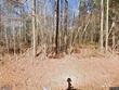 5245 nc highway 231, zebulon,  NC 27597