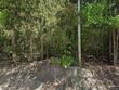2033 old hilton rd, chapin,  SC 29036