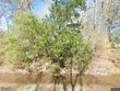 9358 northridge dr, orange,  TX 77632