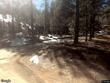  wrightwood,  CA 92397
