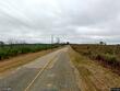 92 acres county road 5, ozark,  AL 36360