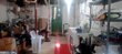 4107 w overlea ave, baltimore,  MD 21206