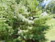 412 greenview dr # 10
                                ,Unit # 10, jefferson,  NC 28640