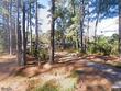 11275 round o road, cottageville,  SC 29435