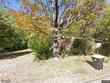 1817 english forest rd, pulaski,  VA 24301