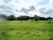7133 sw 3rd terrace, bushnell,  FL 33513