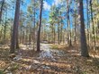 32 acres hwy 70, st germain,  WI 54558