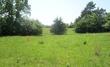10.8 acres north hwy jay jay, centralia,  MO 65240