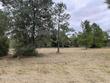 20421 nw 82nd drive, starke,  FL 32091