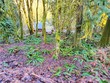 64314 lookout mountain loop unit 1-224, marblemount,  WA 98267
