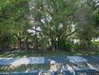 333 se martin ave unit 1f, stuart,  FL 34996