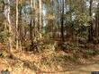 2460 bama rd, cottageville,  SC 29435
