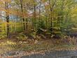 264 e bosket rd, windsor,  NY 13865