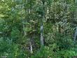 65705 s point dr, iron river,  WI 54847