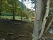 tbd venue views drive, lansing,  NC 28643