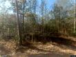 2323 old augusta rd, clyo,  GA 31303