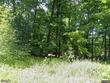1994 simpson rd, phelps,  WI 54554
