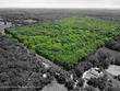 80 acres e mt zion church rd, hallsville,  MO 65255