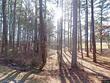 249 marcella falls rd, ethridge,  TN 38456