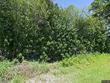  the villages,  FL 32162