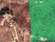 239 honeysuckle ln, lansing,  NC 28643