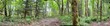 0 emerald lane, marblemount,  WA 98267