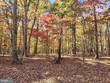 sideling mountain trl - lot 64, great cacapon,  WV 25422