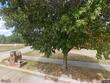 4209 grant ln, columbia,  MO 65203