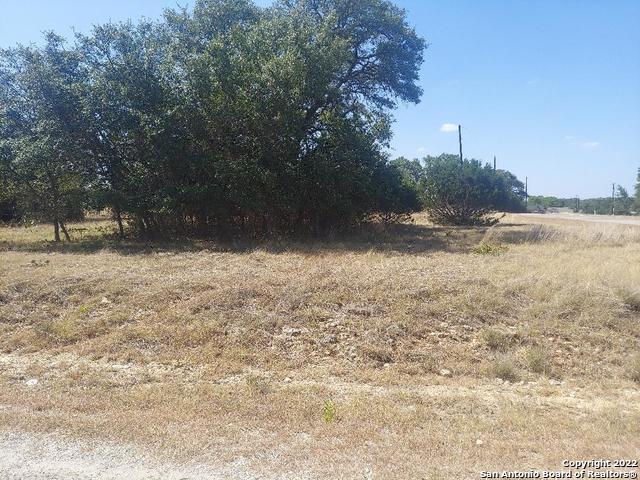 lot 448 williams wood, blanco,  TX 78606