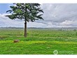  snohomish,  WA 98290