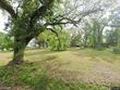  orange,  TX 77630