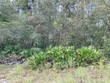 oak pond ln, steinhatchee,  FL 32359