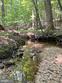 29579 ella brooks ln, easton,  MD 21601