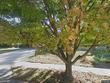 8915 ne 109th ter, kansas city,  MO 64157