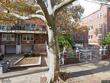  brooklyn,  NY 11236