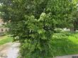 1529 sycamore st, ottawa,  IL 61350